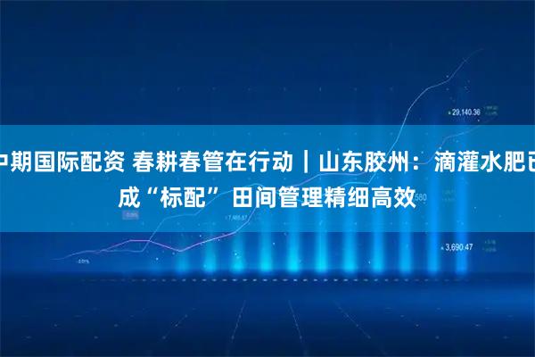 中期国际配资 春耕春管在行动｜山东胶州：滴灌水肥已成“标配” 田间管理精细高效