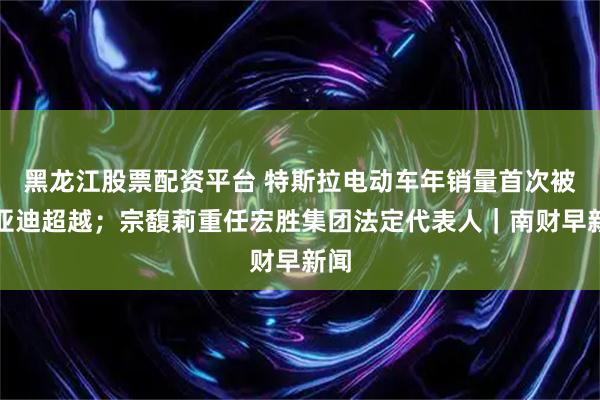 黑龙江股票配资平台 特斯拉电动车年销量首次被比亚迪超越；宗馥莉重任宏胜集团法定代表人｜南财早新闻