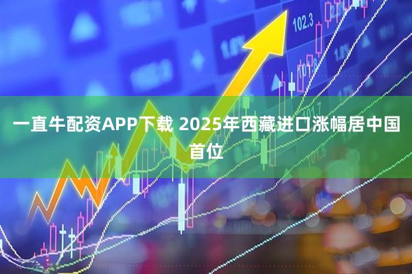 一直牛配资APP下载 2025年西藏进口涨幅居中国首位