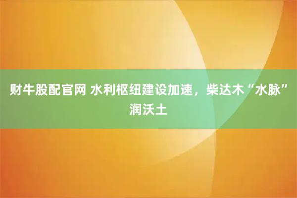 财牛股配官网 水利枢纽建设加速，柴达木“水脉”润沃土